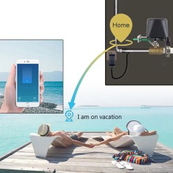 eWeLink-Compatible Wi-Fi / 433MHz Smart Water & Gas Valve Controller