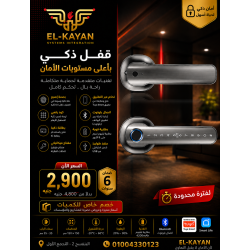 Smart Fingerprint Lever Door Lock