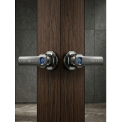 Waterproof Tuya Smart Lever Door Lock
