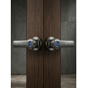 Waterproof Tuya Smart Lever Door Lock