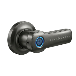 Waterproof Tuya Smart Lever Door Lock