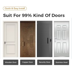 Tuya Fingerprint Smart Lever Door Lock