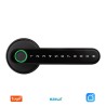 Tuya Handle Free Biometric Smart Door Lock
