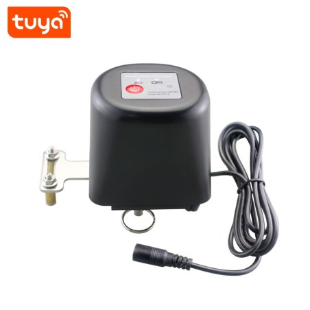 Smart Water & Gas Valve Controller