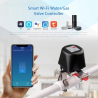Smart Water & Gas Valve Controller