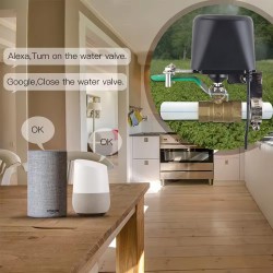 Smart Water & Gas Valve Controller
